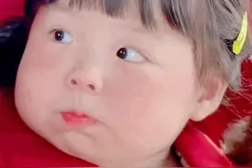 微信聊天表情包 | 好凶，惹不起，惹不起图片