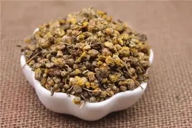 养生知药 | 野菊花图片