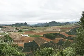 涨了！南宁各县及武鸣区的征地补偿标准公布，你家能补多少？图片