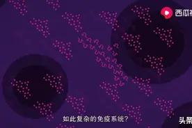 身体成了战场，你知道战争多惨烈吗？西瓜视频科普自身怎么防病毒图片