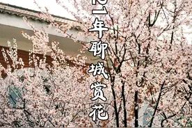 聊城这些地方，即将惊艳全国！再不去可就来不及了！图片