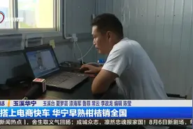 华宁早熟柑桔 搭上电商快车销往全国图片