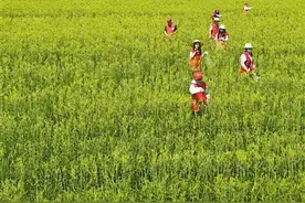 吴忠：在先行区建设中筑梦新时代图片