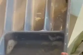 上海女子清洗用了2年的餐具盒，意外发现一层薄膜：捡了一个新的图片
