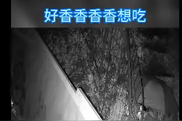 湖北十堰：同一饭店连吃带拿，男子第五次下手时被抓个正着图片