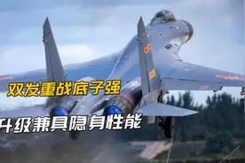歼16能否上4代，国产侧卫战机路在何方？动力与隐身皆有提升空间视频封面