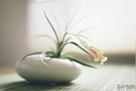 当你内心苦闷，胡思乱想的时候，不妨听听这几句话图片