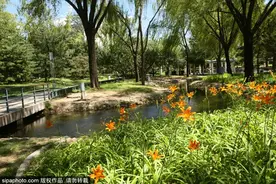 走起！又一波小众免费公园，北京人家门口的避暑好去处，竟藏着千亩花海～图片