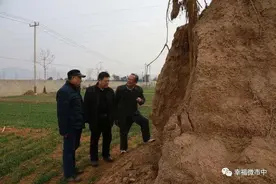 枣庄市中区齐村镇境内的“齐侯城” 是“夹谷会盟”之城图片
