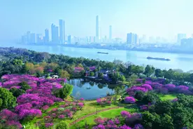 又到春花烂漫时长沙赏花地图请收好图片