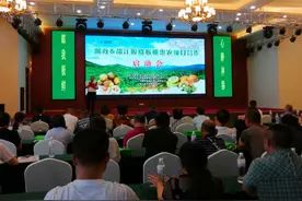 惠农助农！都江堰猕猴桃牵手中国邮政实施品牌推广和产品销售！图片