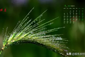 闰四月有哪些农村习俗？进来看看，答案在这里图片