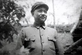 陈光在抗战时期曾担任115师师长，为何没有授衔图片