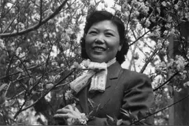 陈士榘前妻范淑琴，见两面就结婚，养育6子女坚持岗位，87岁病逝图片