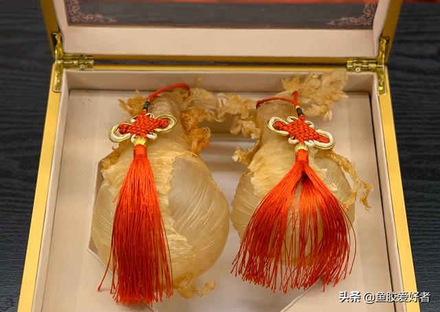 鱼胶一星期吃几次比较好 2026年鱼胶一个星期吃一次有效果吗