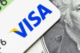 宝付、易付宝、连连支付3家支付机构获得VISA“QSP”资质图片