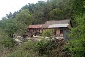 《山里人家》（七绝）图片