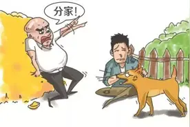 家庭情感故事：王科长分家，分出了人生百态图片