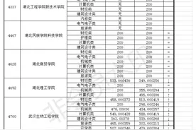 湖北省2018和2019年普通高校招生技能高考专科院校录取分数线图片