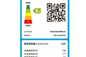 冰箱该选哪一家图片