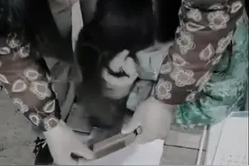 重翻这些画面，我哭了！这是80后的童年，90后的回忆，00后的向往图片