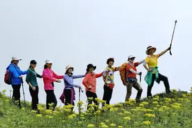 「穿越龙胜大青坡」草原深处，来一次与高山约会的旅途图片