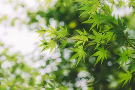 笔记|无意中的成就图片