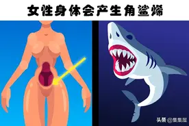 关于女性身体，你可能没有听过的6个奇特的事实图片