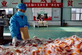 人到中年还想再拼一拼！河南女子被薇娅“选中”：3秒卖出2万单红薯干，年销售额900多万元图片