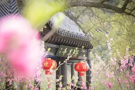 长沙到常德桃花源《桃花源记》演绎柳叶湖游船桃花源古镇五柳小镇图片