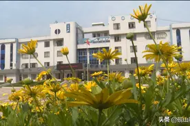 今天  砚山县一中1084名高三学生正式复学图片