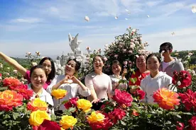 今年花开逛咸阳 咸阳最美是淳化图片