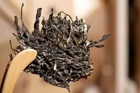 普洱茶中有黄曲霉毒素，中老年人喝容易患癌？用科学检验数据说话图片