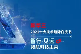 《新华三2021十大技术趋势观点白皮书》：洞察数字技术发展大势图片