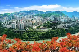 专家评康养城市，三亚不敌攀枝花，网友：听听我们意见图片