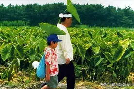 刚刚，我们纷纷跑去问了队友一个“不怀好意”的问题，没想到图片