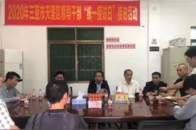 三亚市天涯区副区长倪少良约访芒果村信访人图片