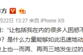 方方过街，人人喊打...向美国纳投名状，冤不冤？图片