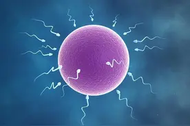 “爸爸，你是怎么把精子放在妈妈肚子里的？”与孩子一起读网解答图片