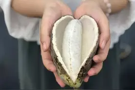有没有知道这是啥水果？图片