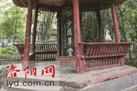 成都万事好，心更思洛阳！诗圣杜甫与洛阳，究竟有怎样的渊源图片