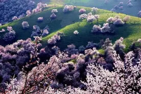 关中清明节风俗：上坟面图片