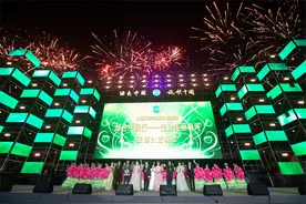相聚活力之城 绿色中国行主题公益晚会点亮美丽梅河图片