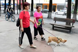 女子急病晕倒广东街头，河南阿姨咬牙背起送医，累到腿抖图片