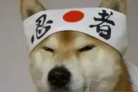 好搞笑！最美和服搭配图片