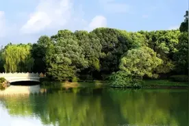 美食节定制“大师宴”，想不想尝尝？图片
