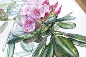 一组细腻柔美的水彩花卉送给最美的老师们，祝福教师节快乐！图片