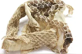 《本草精荟》：祛风解毒：蛇蜕的功效与应用图片