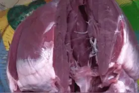 这是猪身上最值钱的肉，肉贩子都是自己吃，多少钱也买不到图片