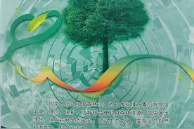新森林法中关于 森林权属的规定图片